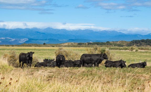 Heartland Bank Rural Loans Customer Story